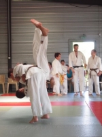 Ceintures 2015 (190).jpg
