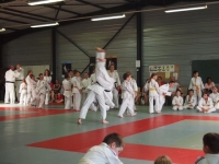 Ceintures 2015 (192).jpg