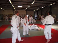 Ceintures 2015 (202).jpg