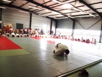 Ceintures 2015 (161).jpg
