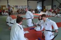 Ceintures 2015 (44).jpg