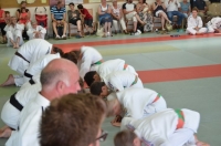 Ceintures 2015 (56).jpg
