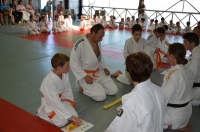 Ceintures 2015 (60).jpg