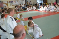 Ceintures 2015 (67).jpg