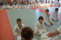 Ceintures 2015 (83).jpg