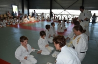 Ceintures 2015 (84).jpg