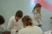 Ceintures 2015 (98).jpg