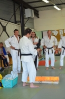 Ceintures 2015 (132).jpg
