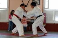 2070082228_1.jpg