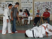 2498157905_1.jpg