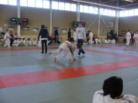 2790746288_1.jpg