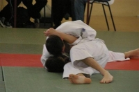 IMGP1566.jpg