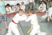 coupe au sol 1 06 13 (53).JPG