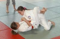 coupe au sol 1 06 13.JPG