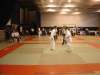 880432174.jpg