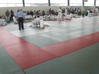 coupe-au-sol-2006-10.jpg