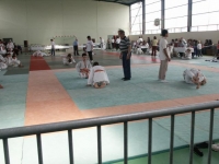 coupe-au-sol-2006-8.jpg