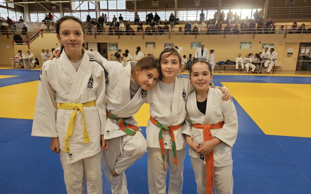 Un joli week-end de judo pour le Judo Club Savinois !